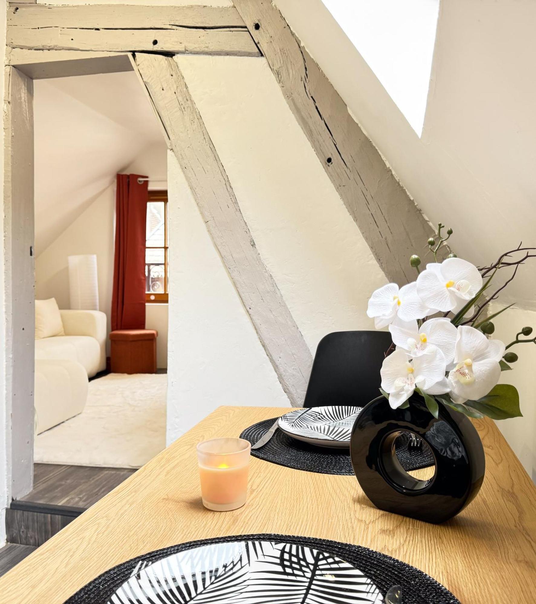 La Douceur - Hypercentre Pieton De Troyes - Cozy Apartment Exterior photo
